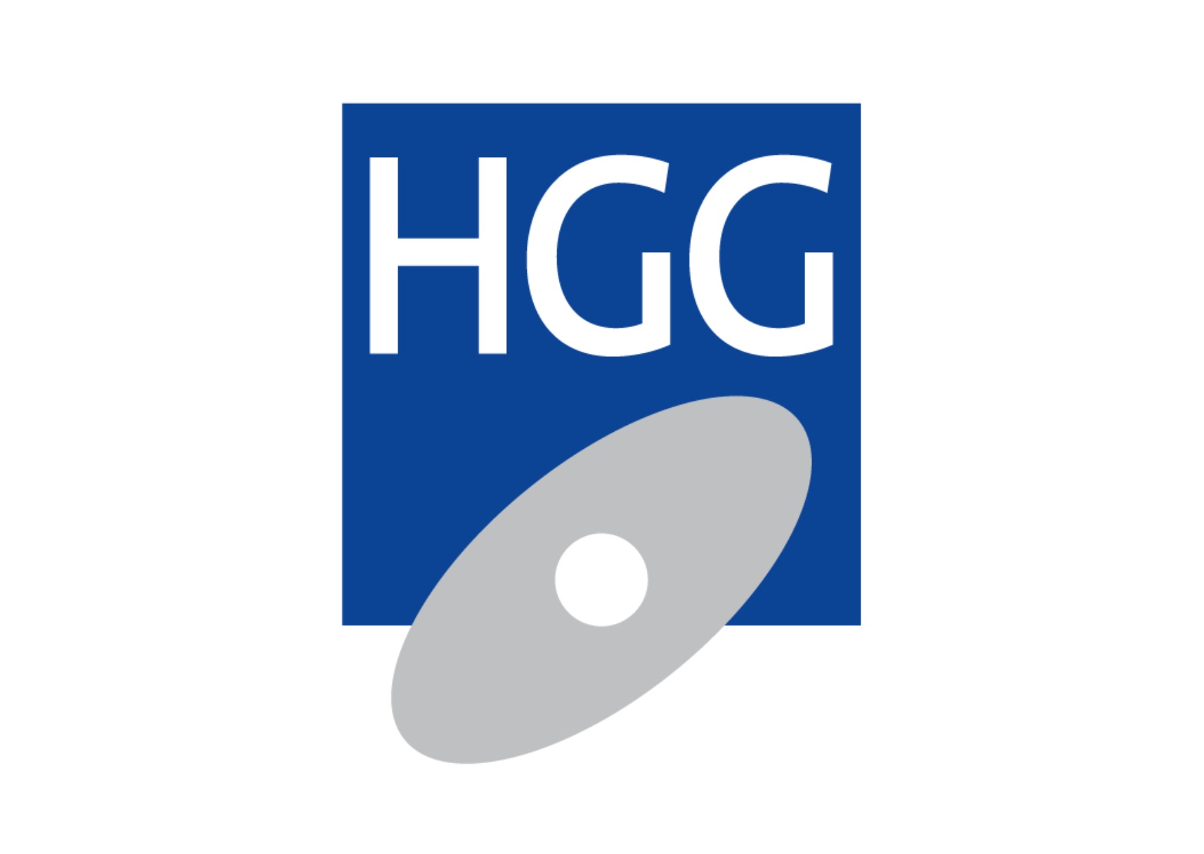 Read more about the article HGG Group BV