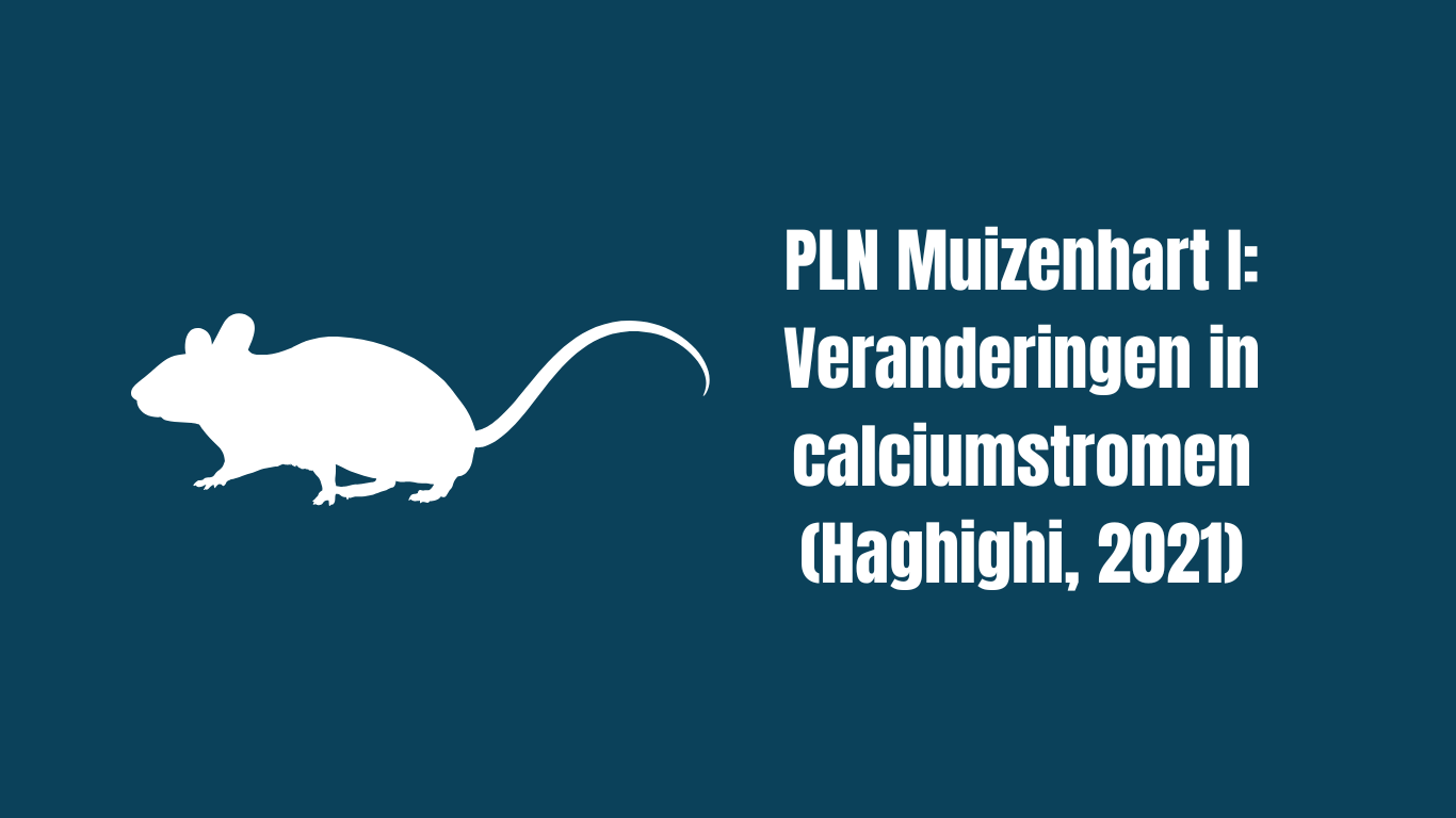 Read more about the article PLN mouse heart I: Changes in calcium currents (Haghighi, 2021)
