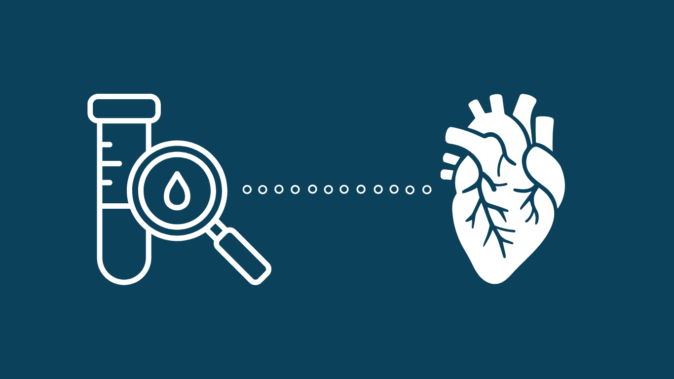 Lees meer over het artikel Van bloedafname tot aan hartcel: zo ontdekken we hoe de PLN-ziekte zich ontwikkeld